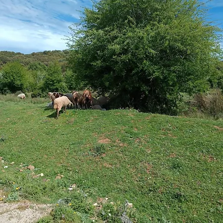 Country house Guadalupe De La Fuenfria *