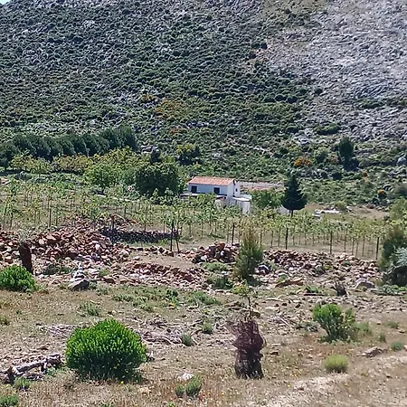 Guadalupe De La Fuenfria
